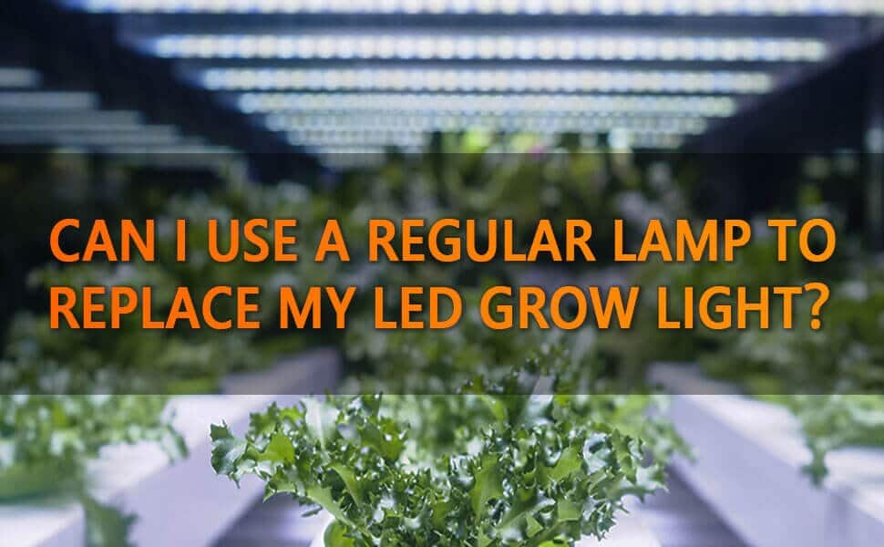 led grow light